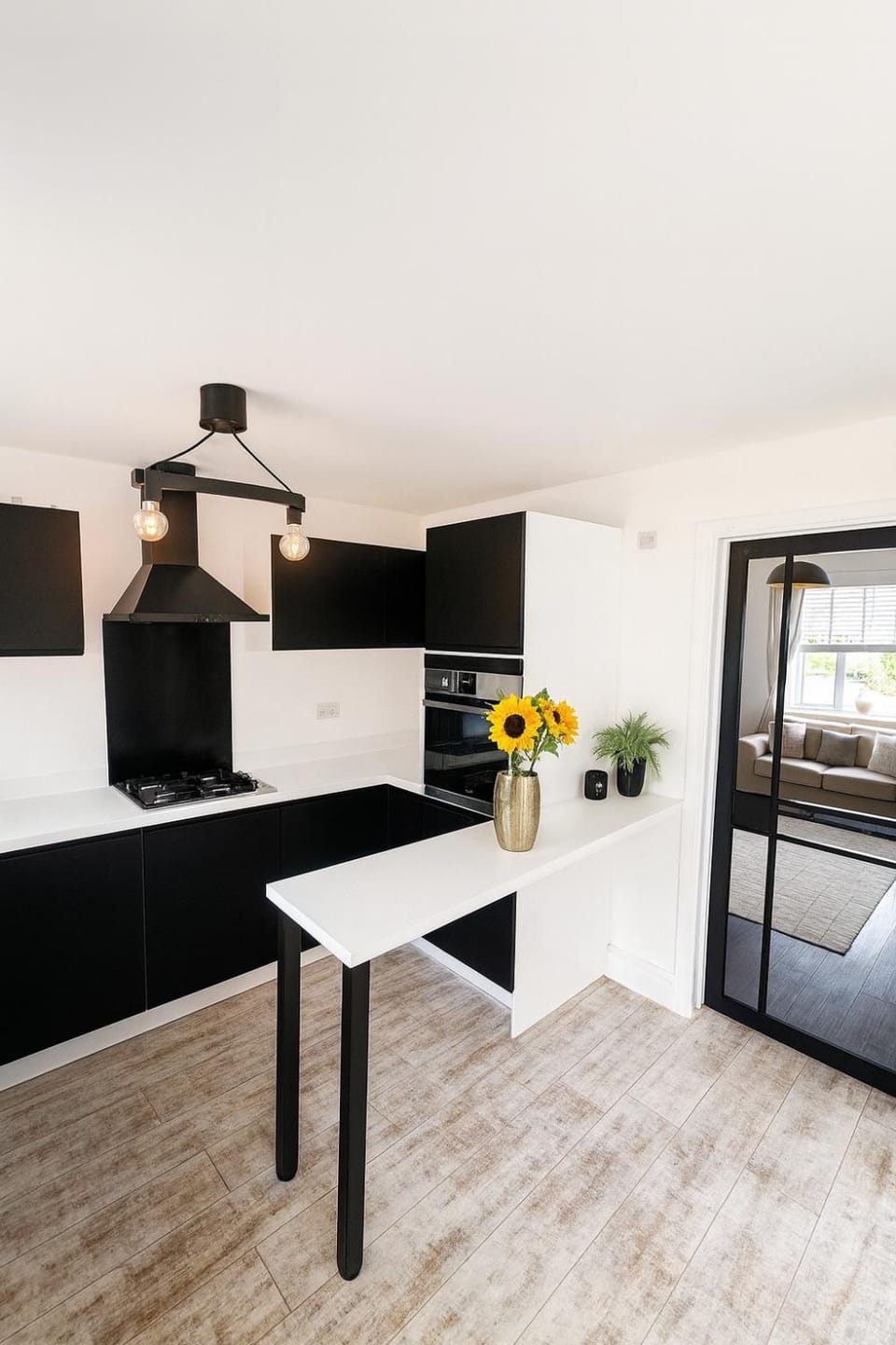 Kitchen or kitchenette, Dining area, oven, stove
