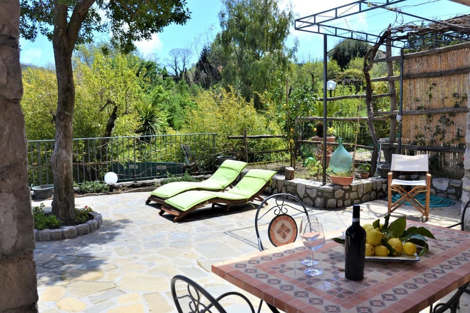 Patio, sunbed