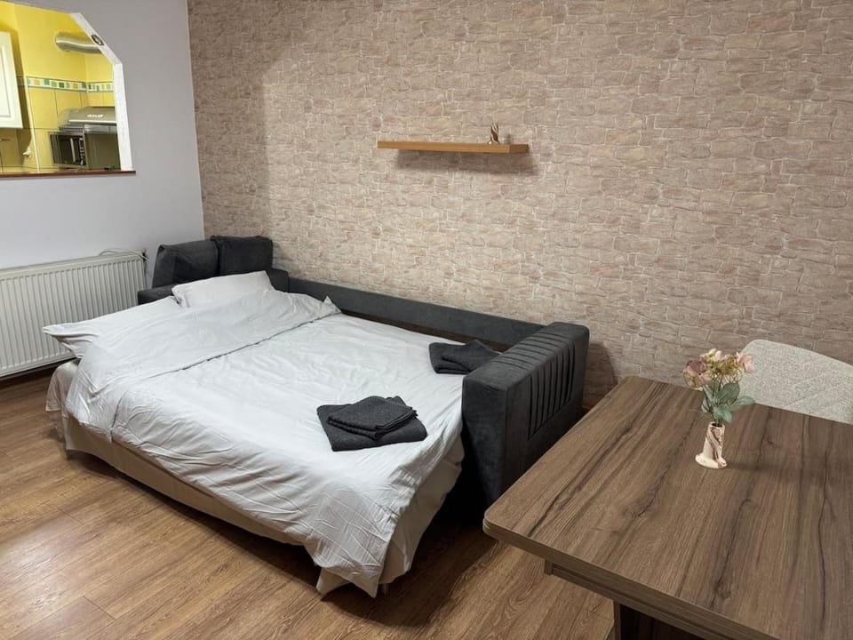 Small apartment in Hunedoara Apartment in Romania