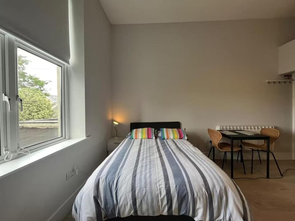 Lury's Studio Apartment Apartment in Dublin