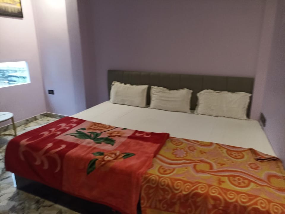 Holy Haritez Inn Bed and Breakfast in Varanasi