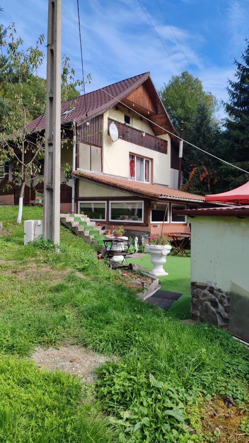 Vila Dona House in Romania