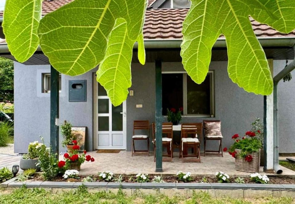 Prostrana moderna kuca u centru- 2 spavaće sobe, parking u dvoristu Apartment in Serbia