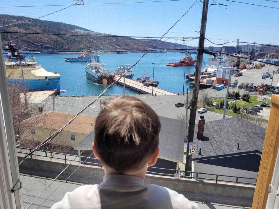 The Battery Harbour Home, Ocean&City View,Parking House in St Johns