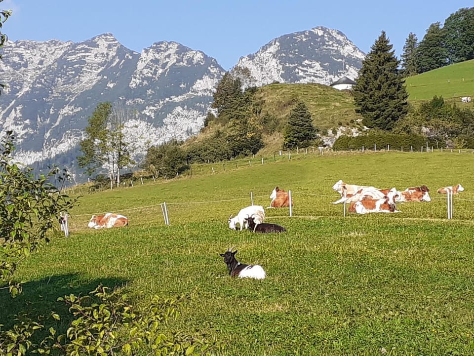Klettnerlehen in Ramsau Apartment in Berchtesgadener Land