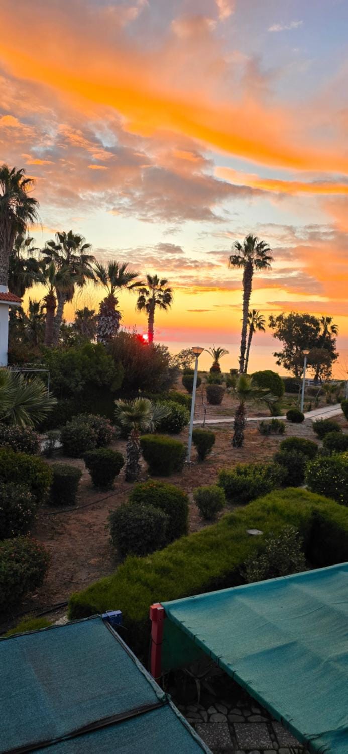Garden, Sea view, Sunrise