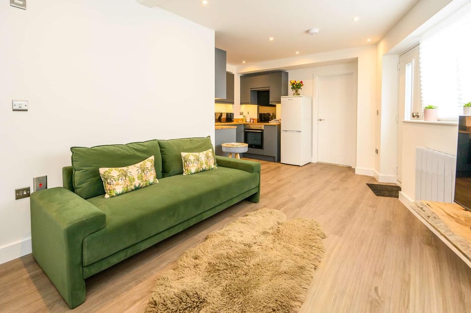 Kitchen or kitchenette, Living room, Seating area, oven, stove