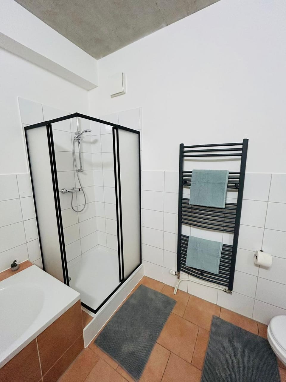 Shower, Bathroom, towels