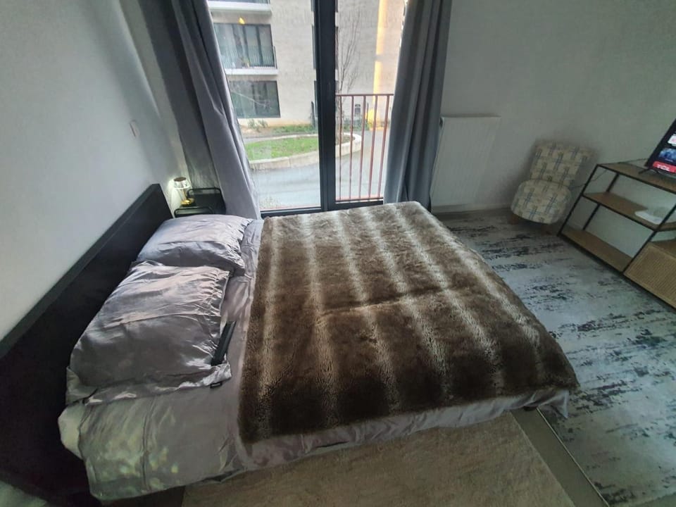 collocation en metro erasme Vacation rental in Flanders