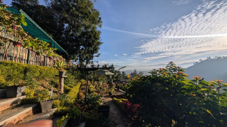 Garden, Garden view, Mountain view