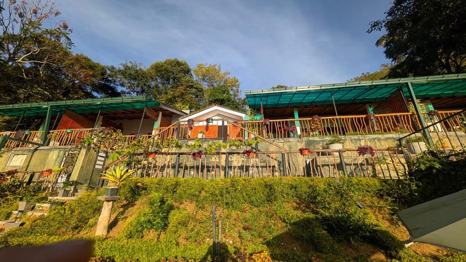 Property building, Garden, Garden view