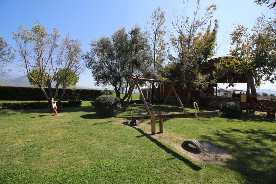 Children play ground, Garden, Garden view