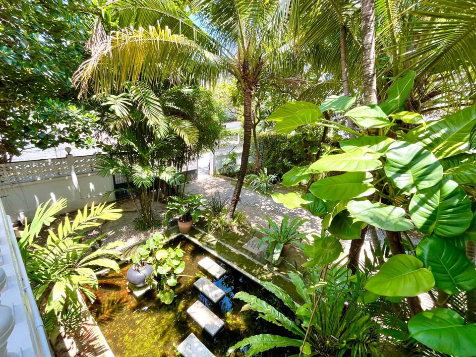 Day, Garden, View (from property/room), Garden view