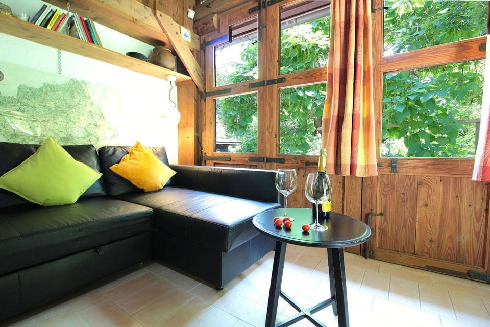 Spring, Summer, Living room, Autumn