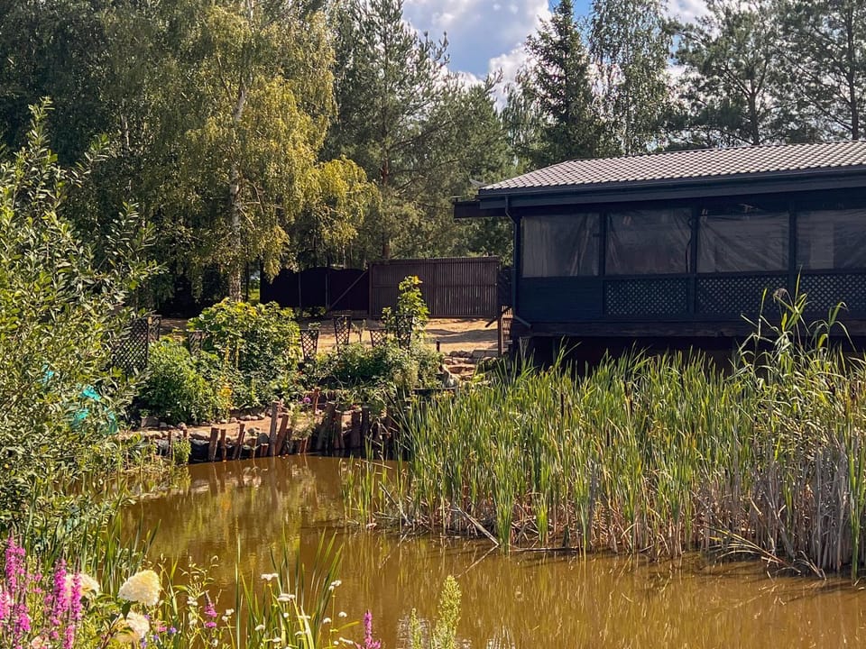Property building, Day, Garden, Garden view