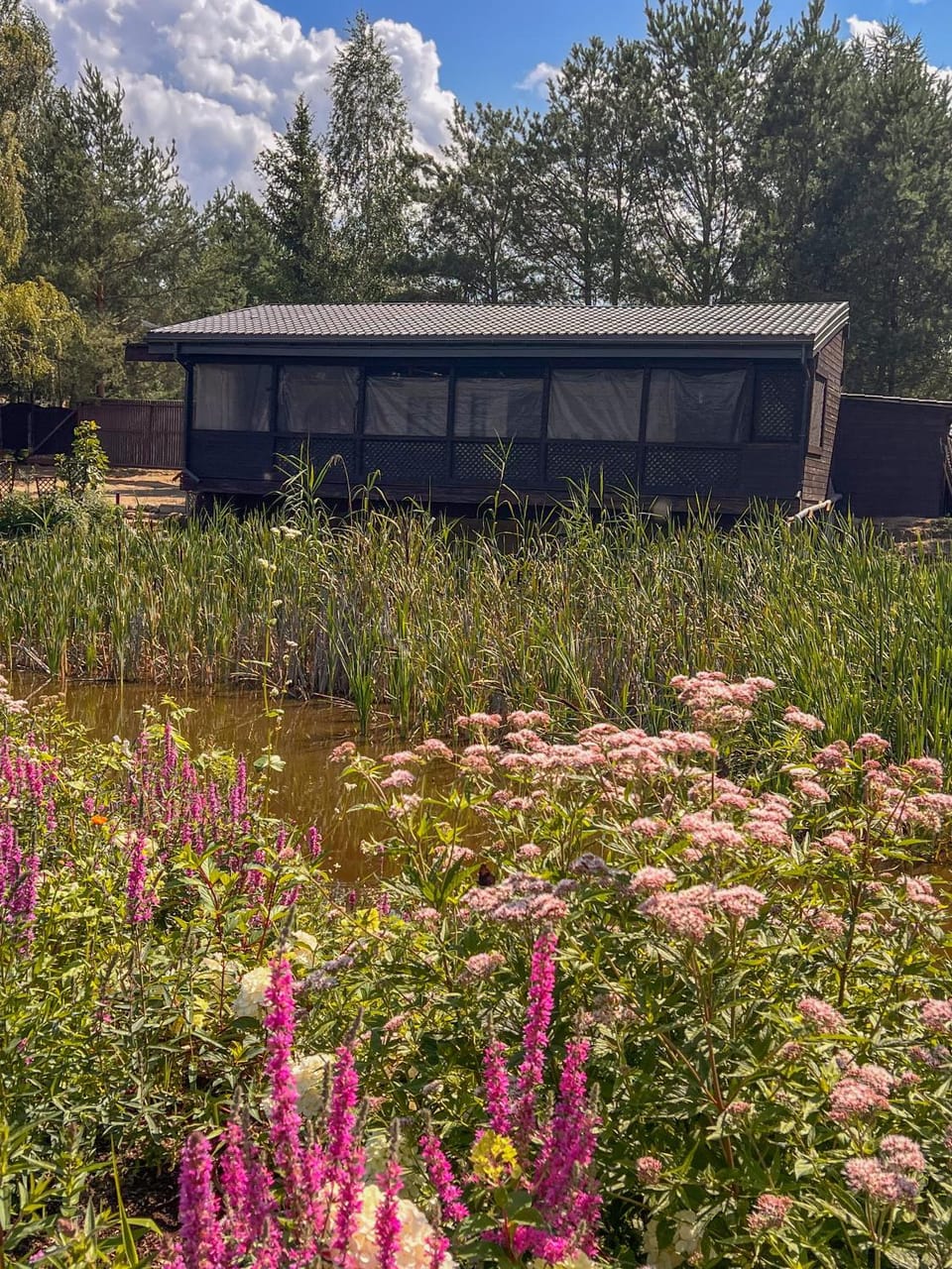 Property building, Natural landscape, Garden