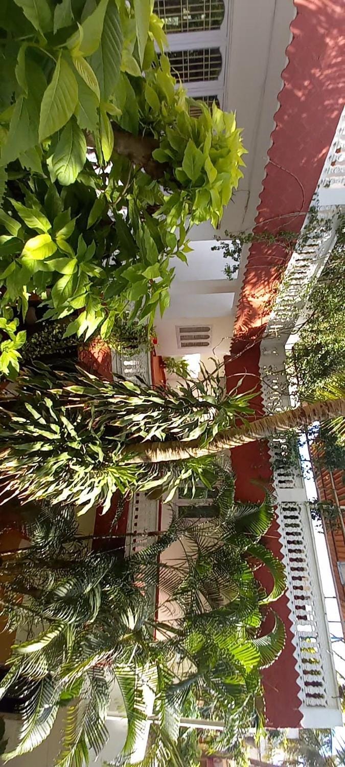 Daphne Hotel Bed and Breakfast in Tamil Nadu