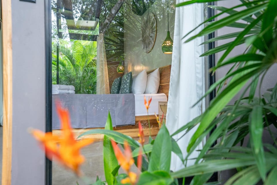 Patio, Spring, Day, Garden, Garden view