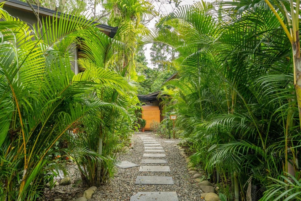 Spring, Day, Natural landscape, Garden, Garden view
