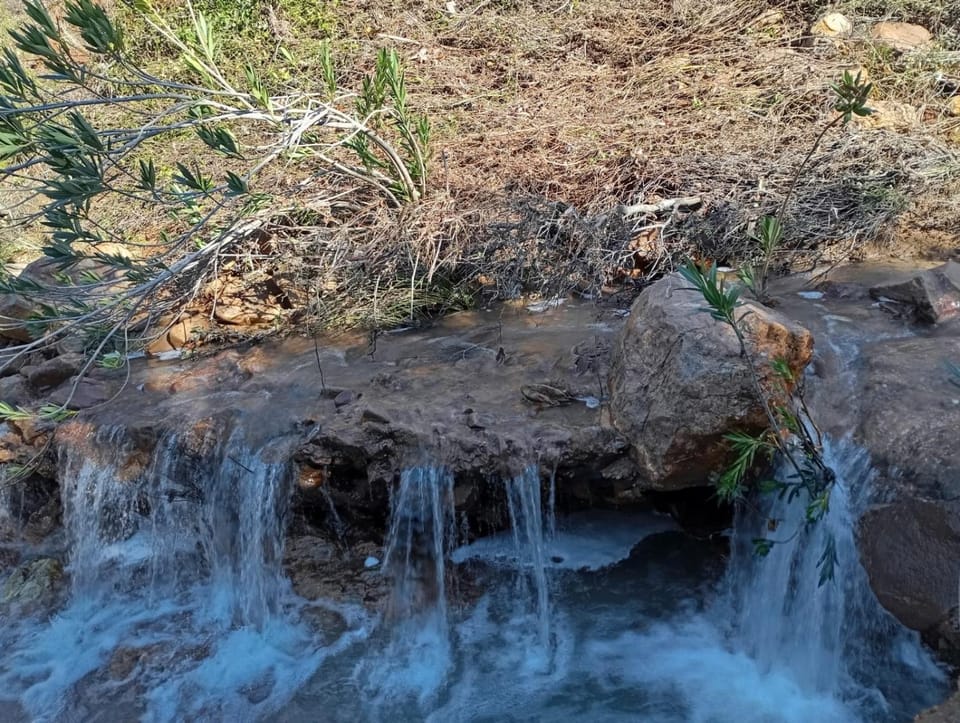 Natural landscape