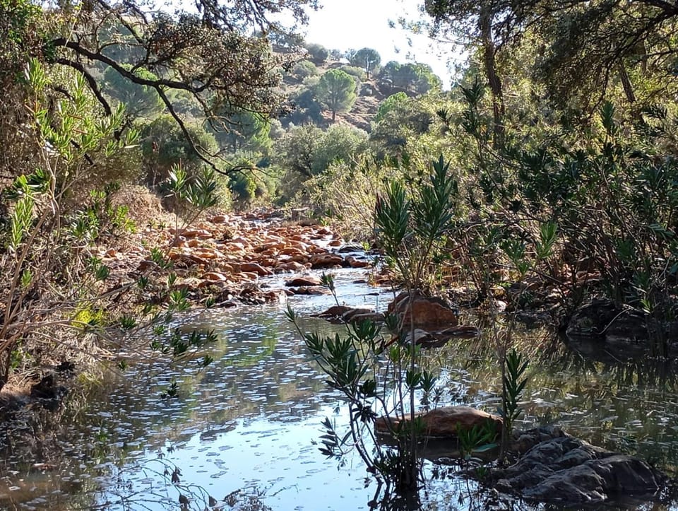 Natural landscape