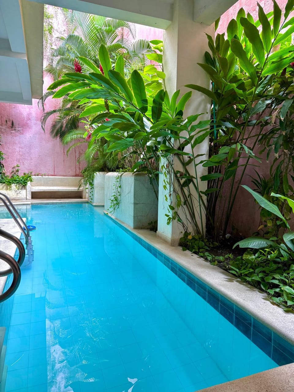 Day, Garden, Pool view, Swimming pool