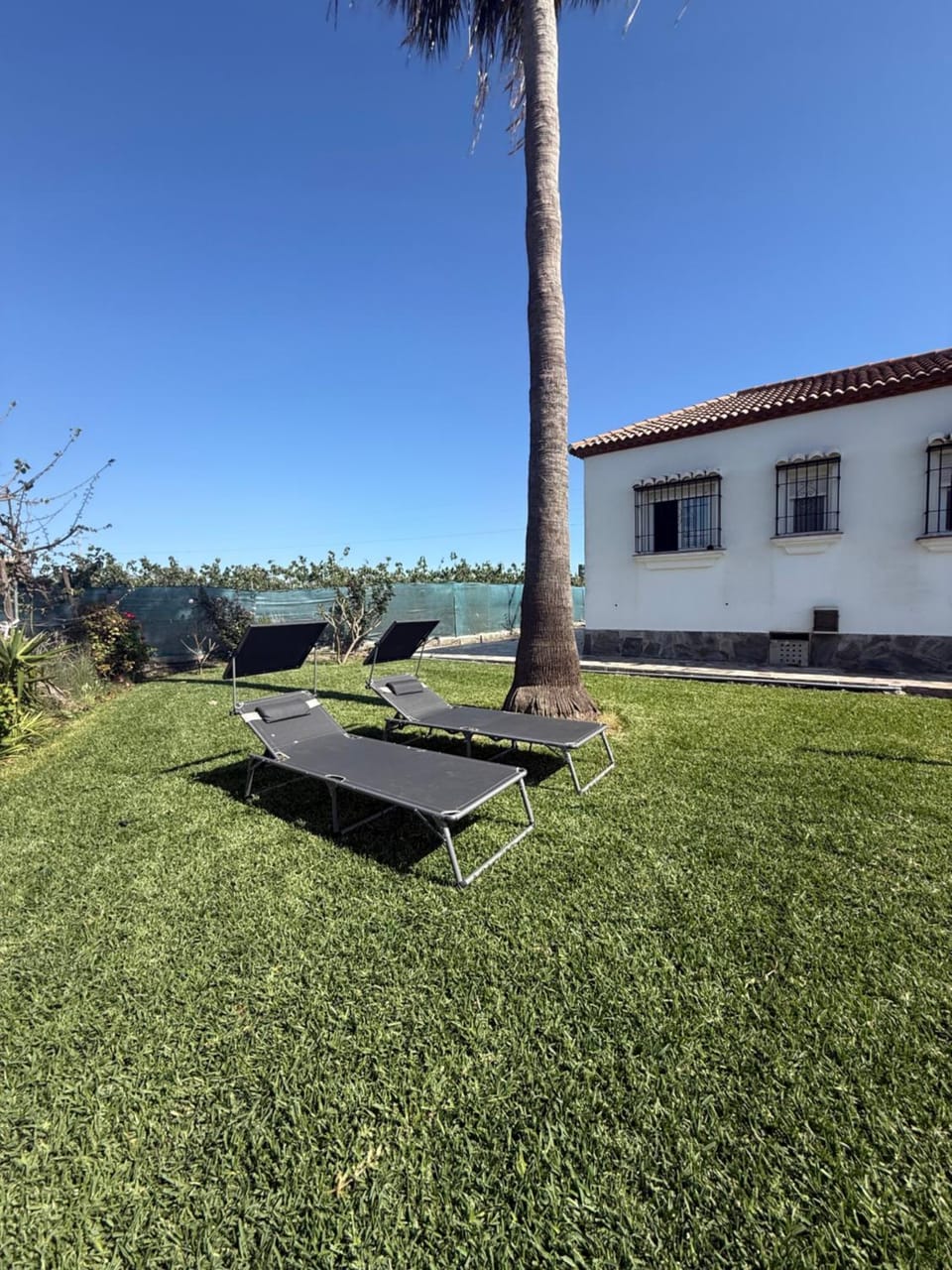 Day, Natural landscape, Garden, Garden view, sunbed