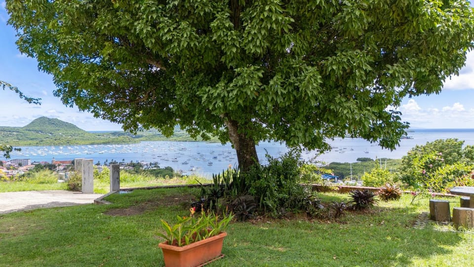 Garden, Garden