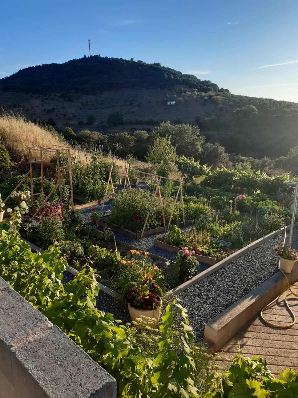Natural landscape, Garden view, Mountain view