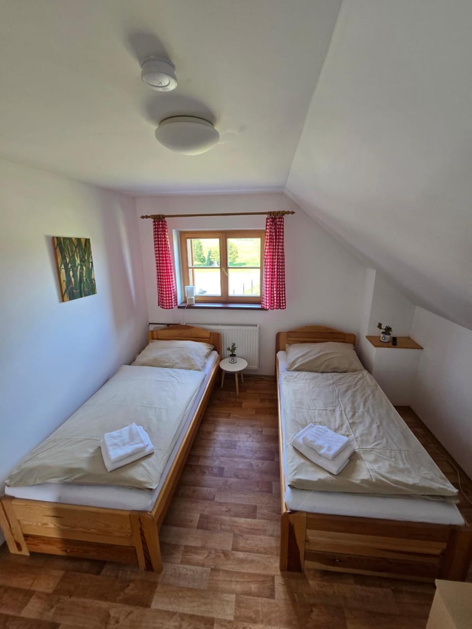Penzion Sokolovna Krásná Bed and Breakfast in Thuringia, Germany