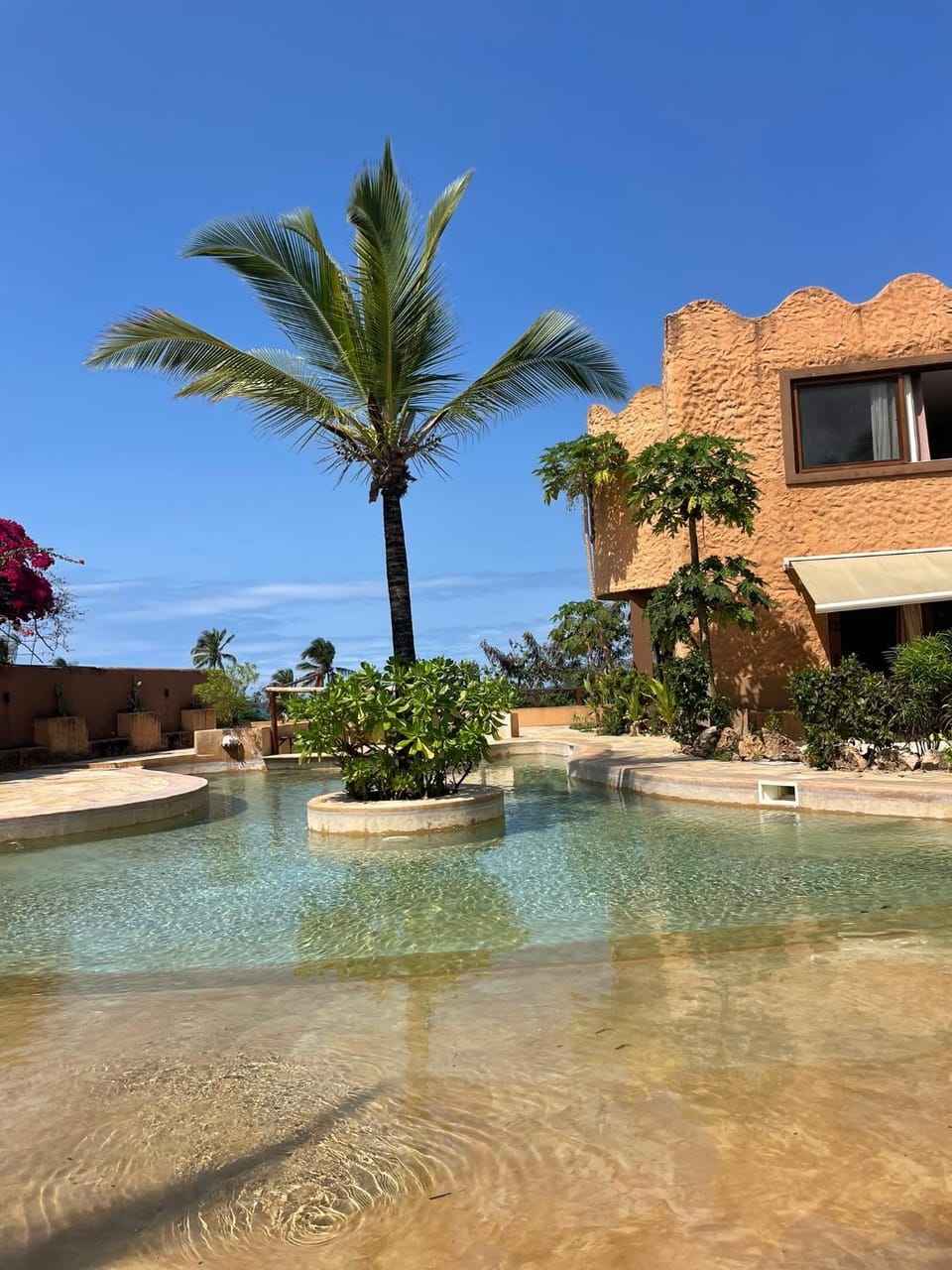 Day, Garden view, Pool view