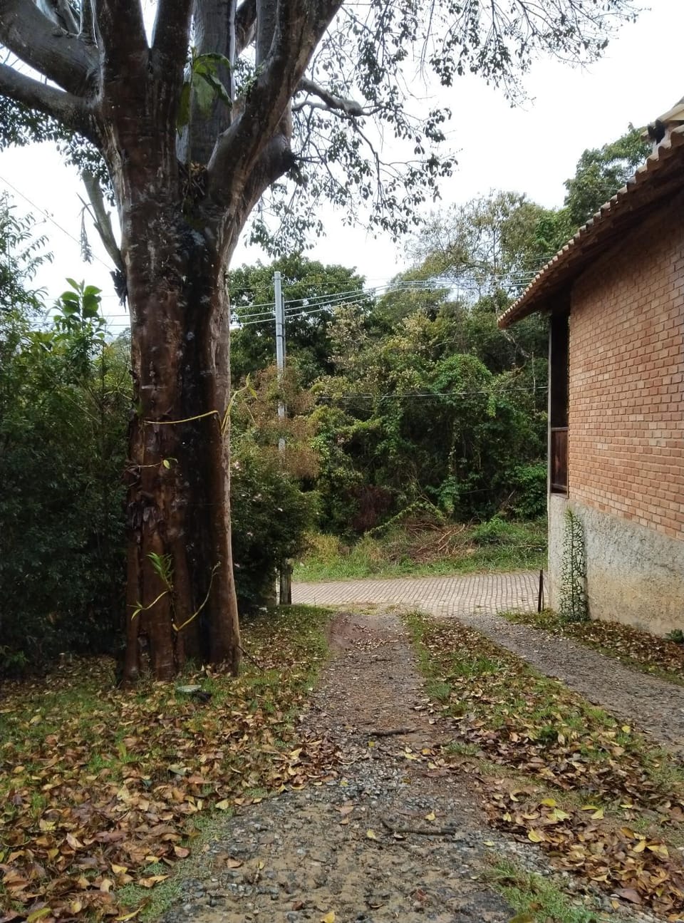 Spring, Day, Natural landscape, Garden view