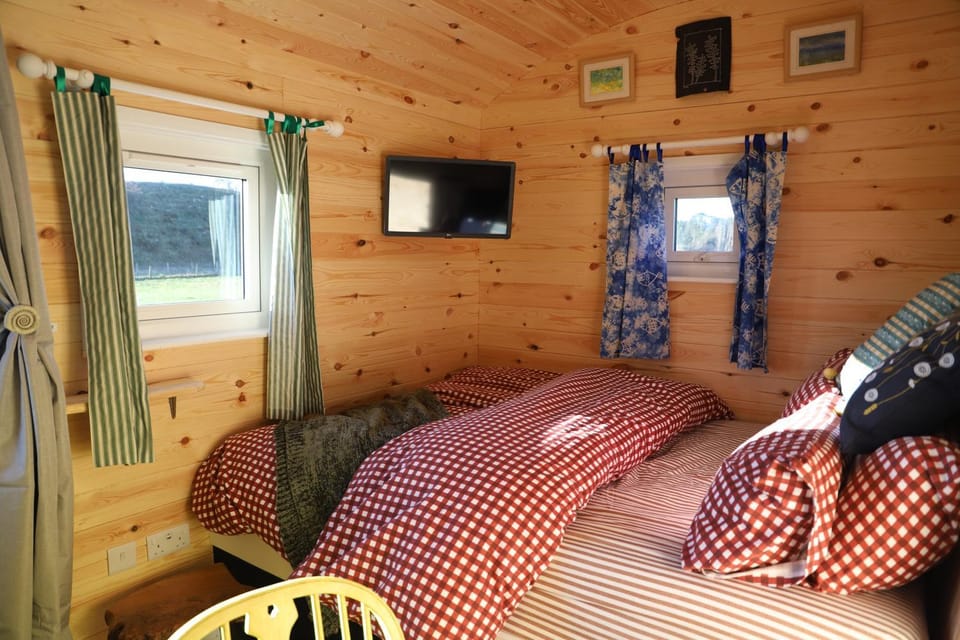 Bed, TV and multimedia