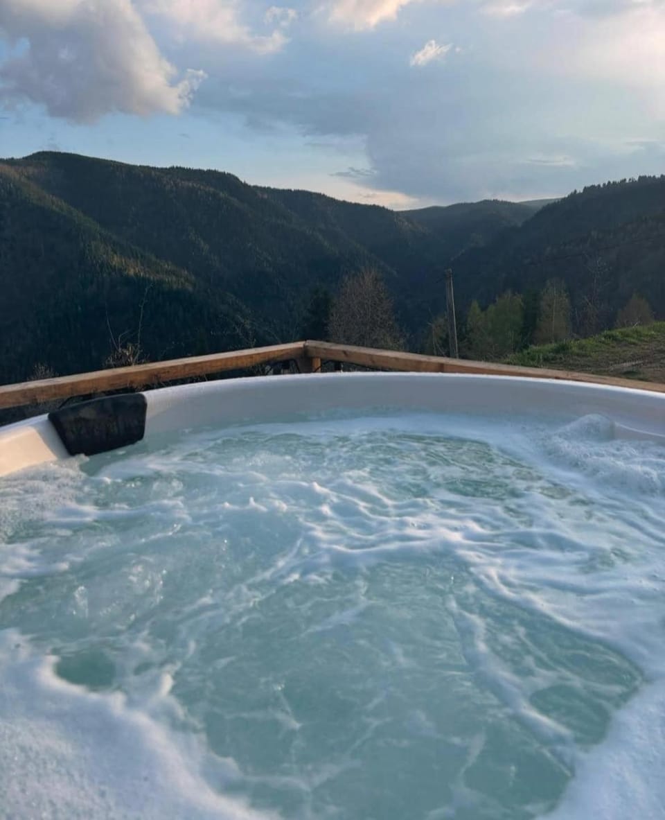 Natural landscape, Bird's eye view, Hot Tub, View (from property/room), Mountain view