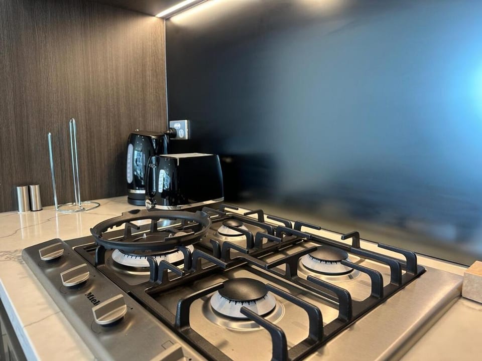 Modern Olympic Park Apartment Apartment in Lidcombe