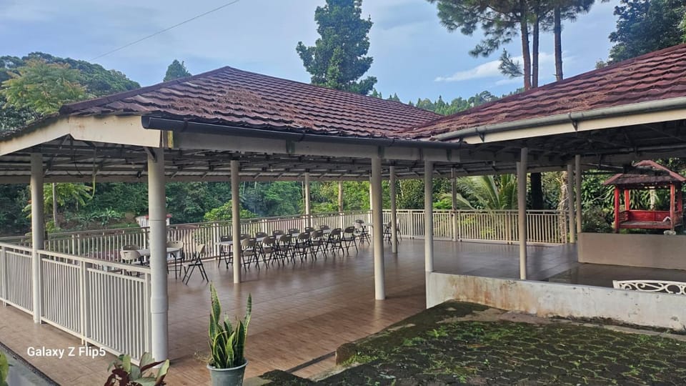 Property building, Day, Garden view