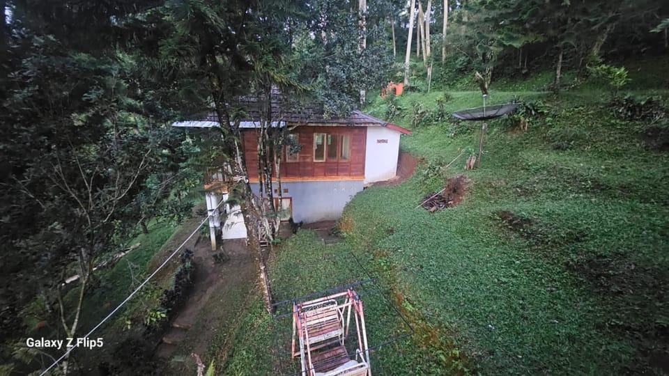 Natural landscape, Garden view