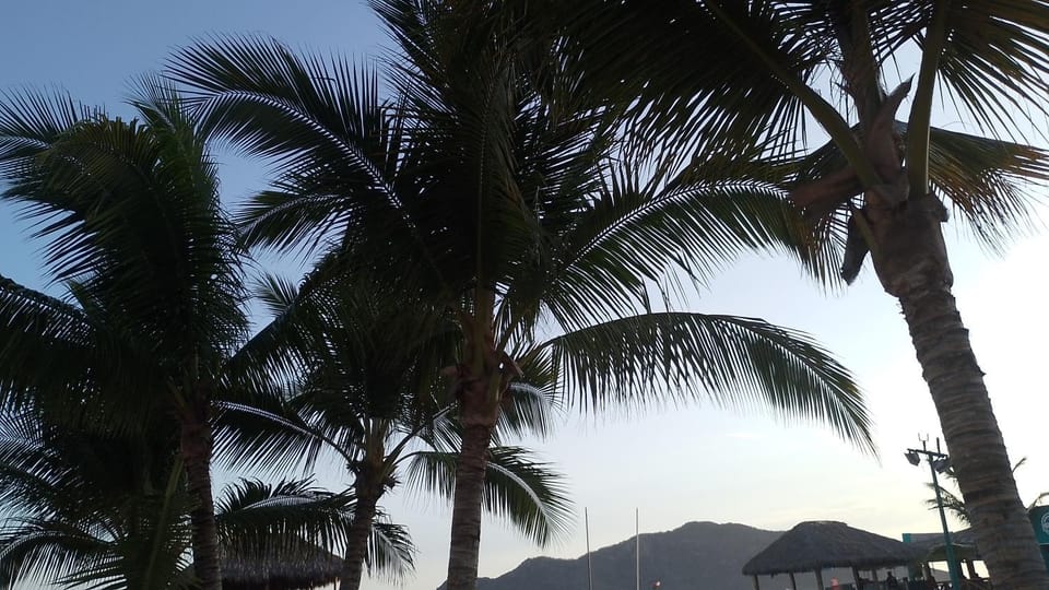 Tesoro Palmas Resort Apartment in Mazatlan