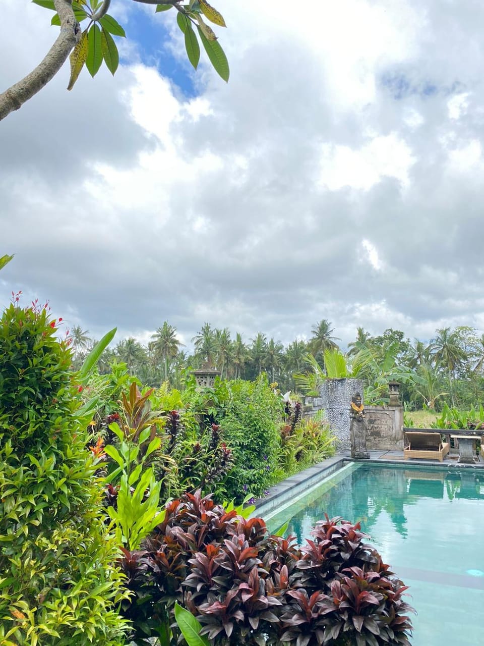 Garden view, Swimming pool