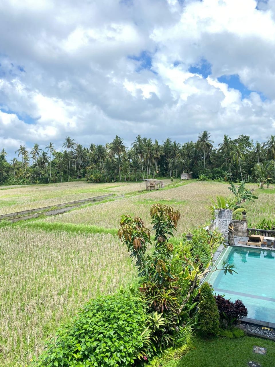 Natural landscape