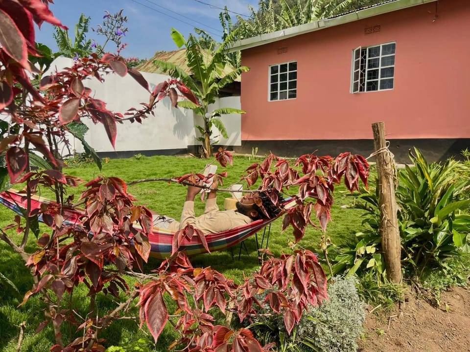 Property building, Garden, Balcony/Terrace