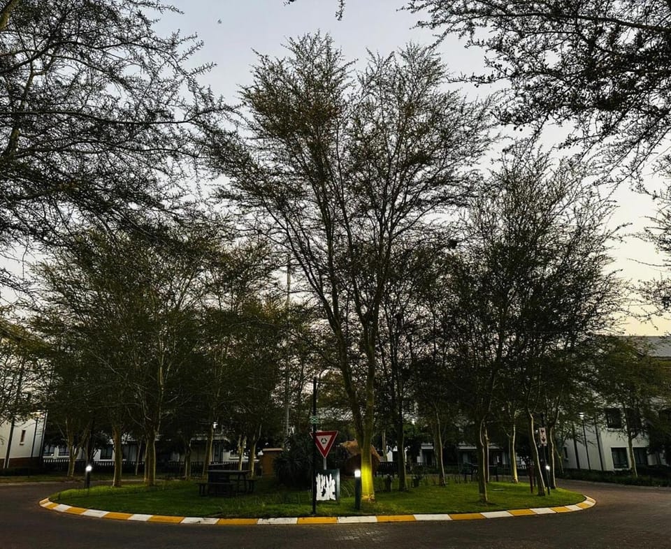 suarez homes Apartment in Sandton