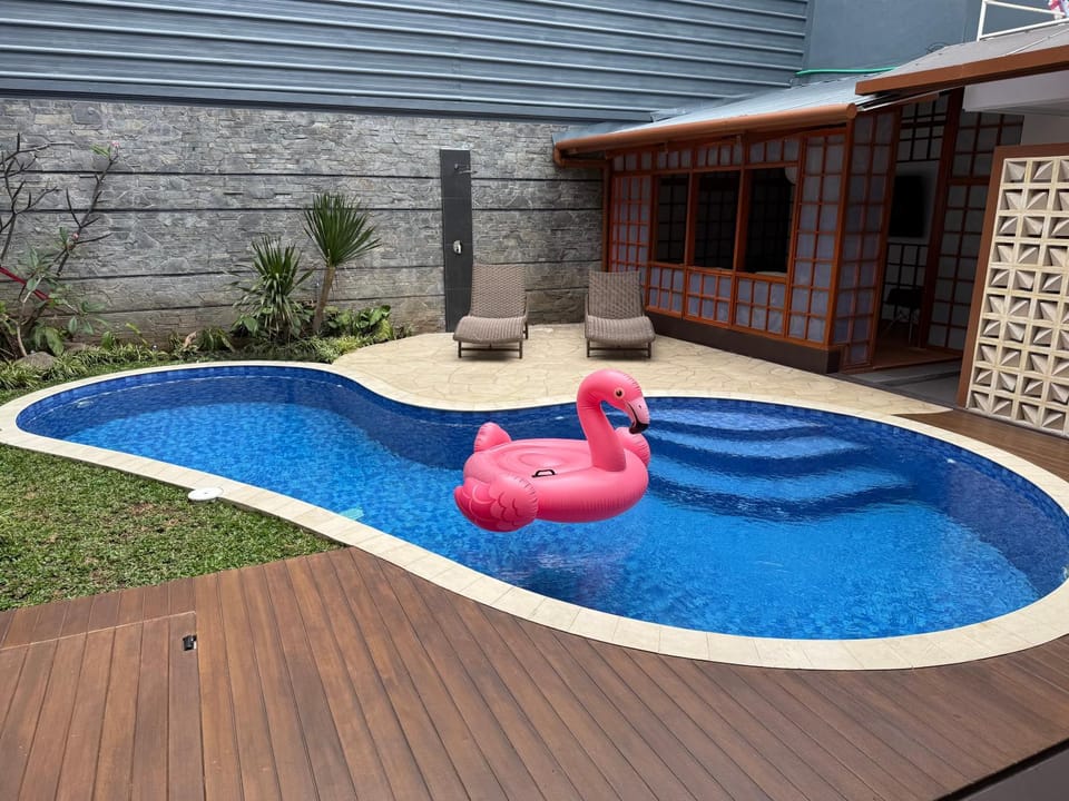 Swimming pool, Swimming pool
