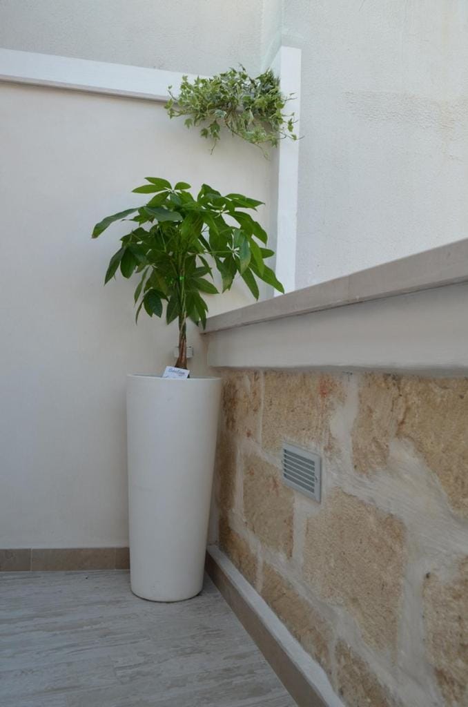 Property building, Balcony/Terrace, Decorative detail