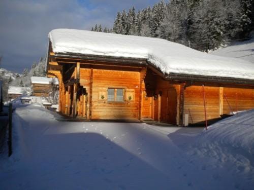 Chalet Le Rocher de la Serraz Apartment in Manigod