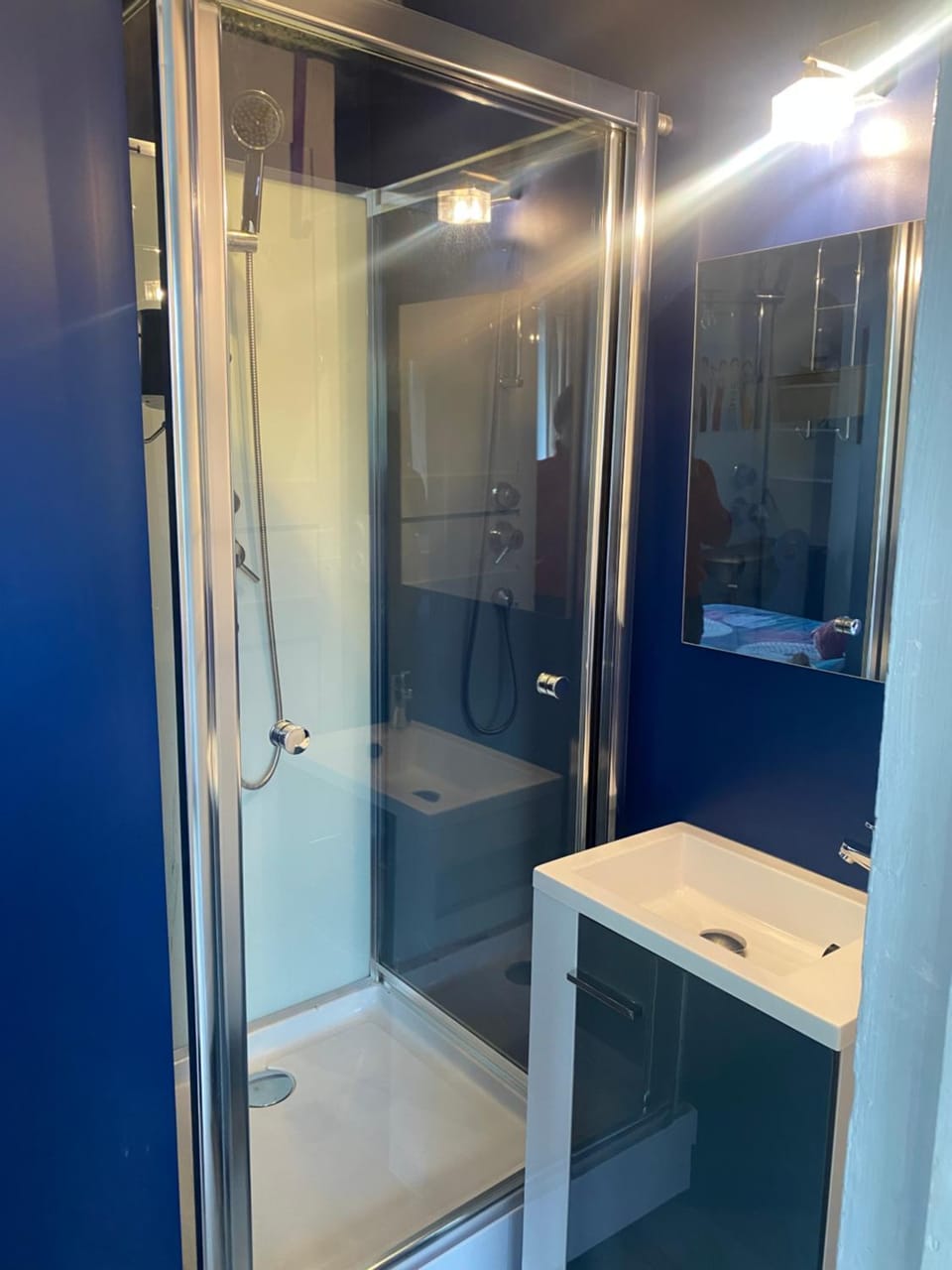 Chambre dans villa les terrasses Bed and Breakfast in Lyon