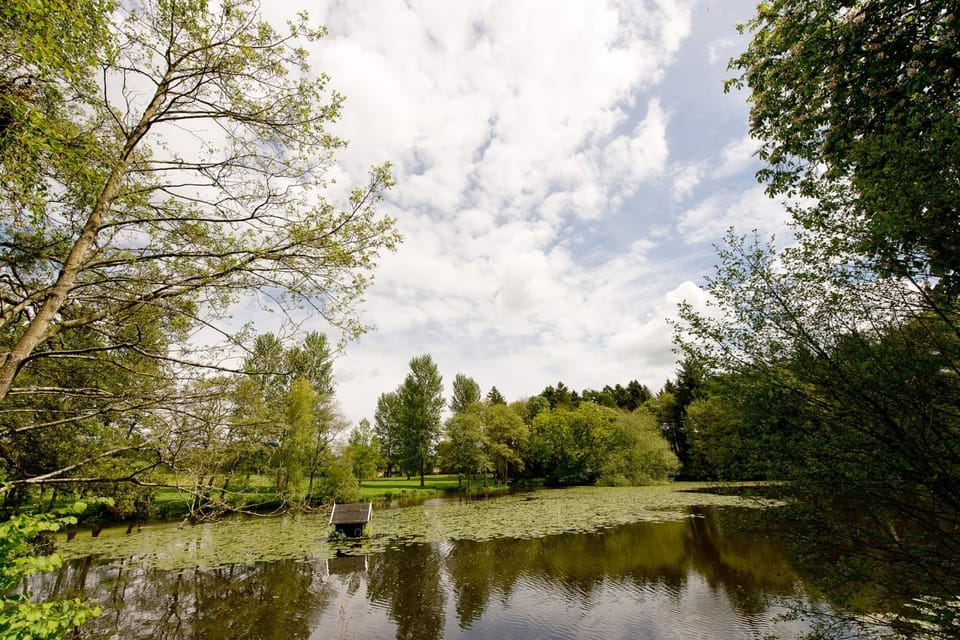 Spring, Lake view