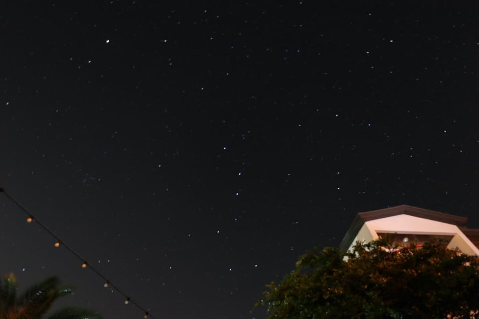 Night