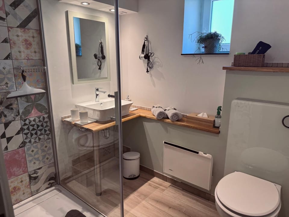 Shower, Toilet, Bathroom, towels