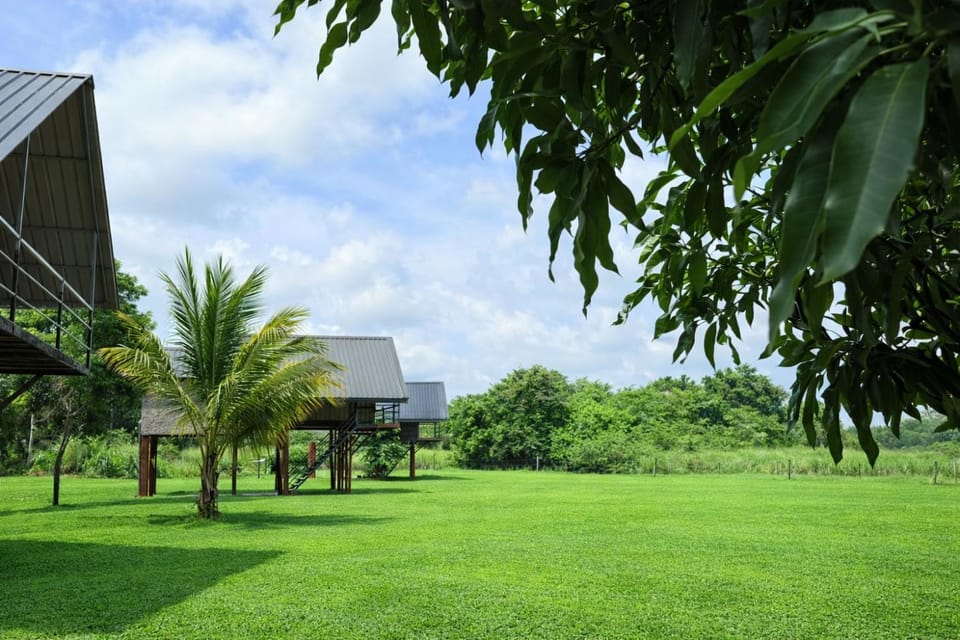 Property building, Day, Garden view